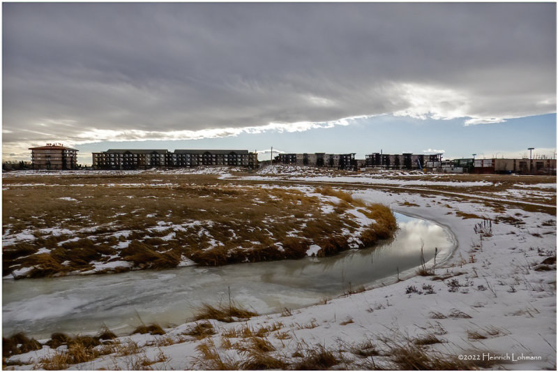 DSC07380-Airdrie.jpg