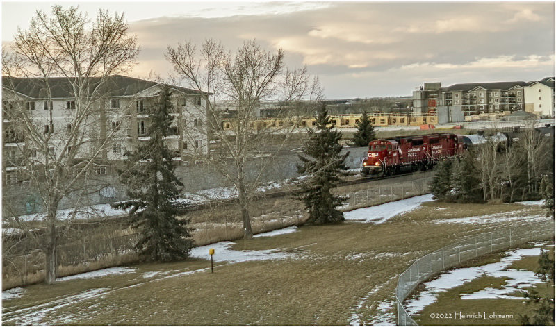 DSC07400-Airdrie.jpg