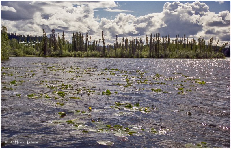 scan-2-737-Alberta.jpg