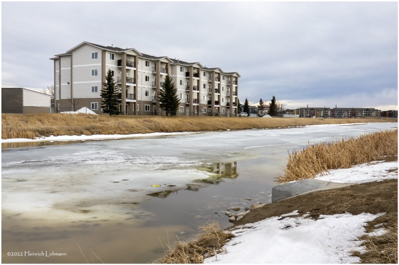 DSC07552-Airdrie.jpg