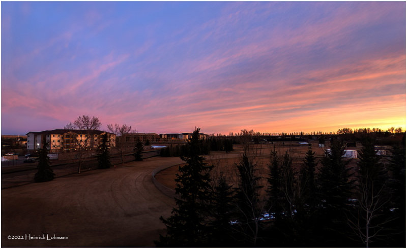 DSC07628-Airdrie.jpg