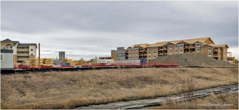DSC07658-Airdrie.jpg