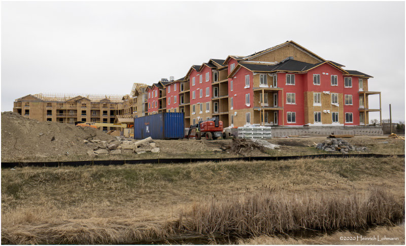 DSC07776-Airdrie.jpg