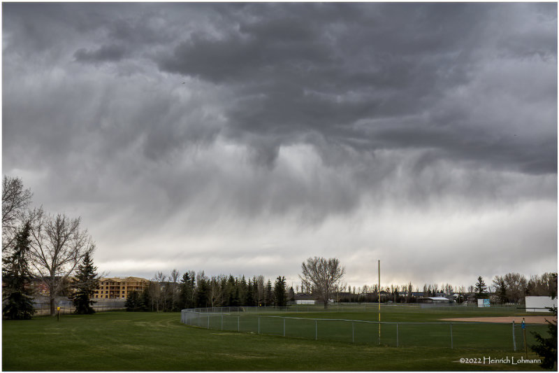 DSC07790-Airdrie.jpg