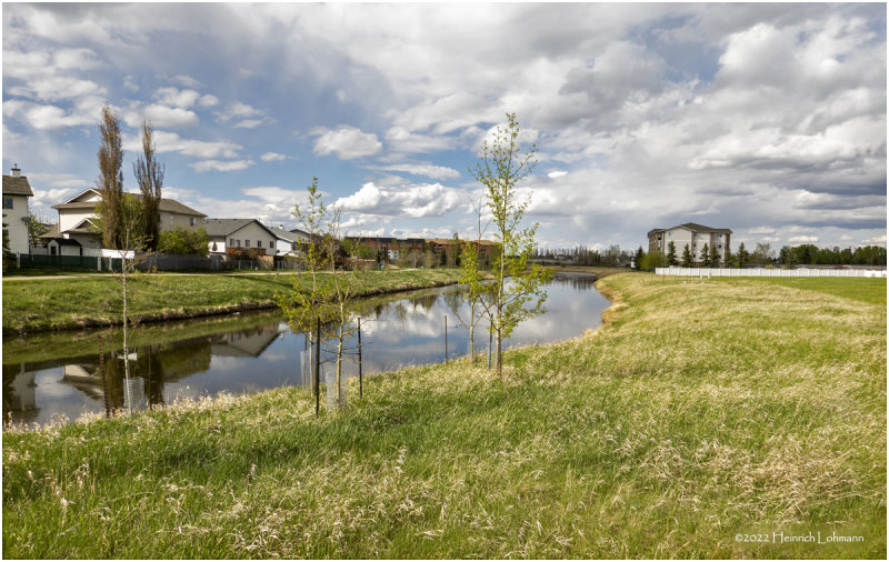 DSC07828-Aiirdrie.jpg