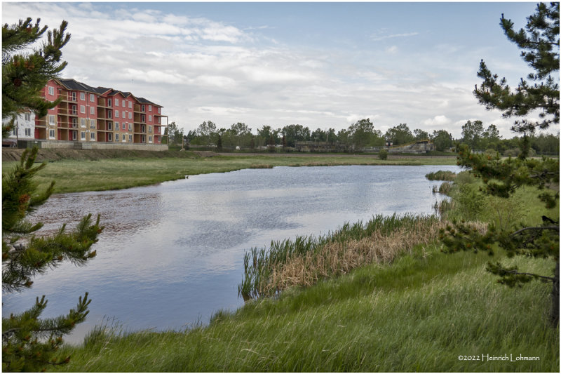 DSC07969-Airdrie.jpg
