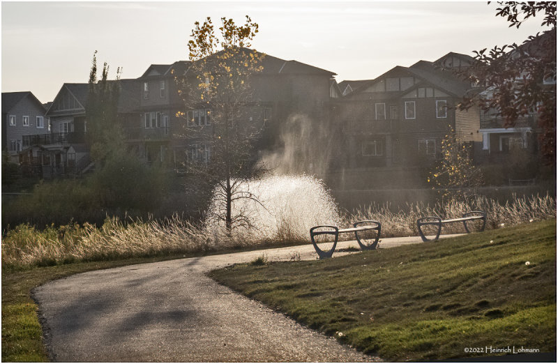 DSC09005-Airdrie.jpg