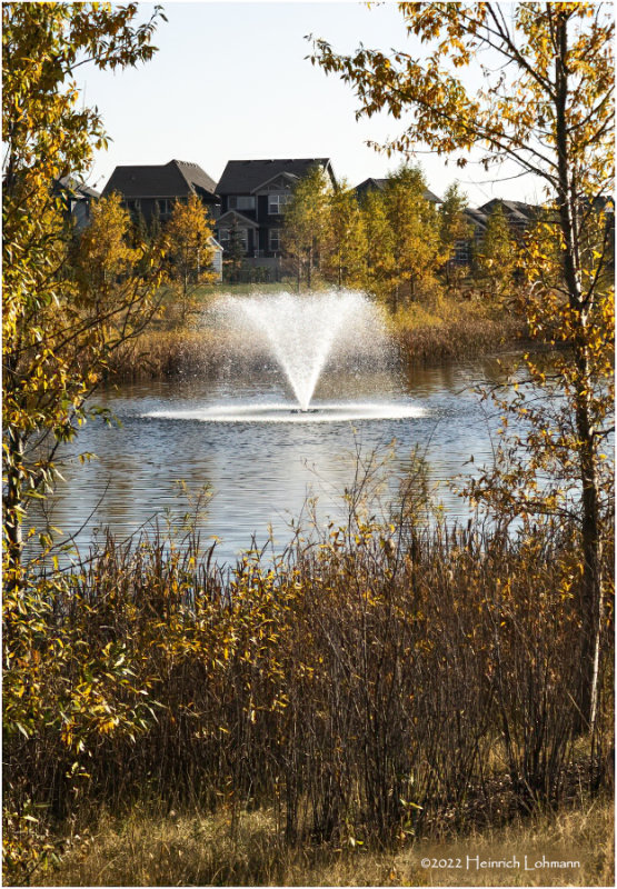 DSC09023-Airdrie.jpg