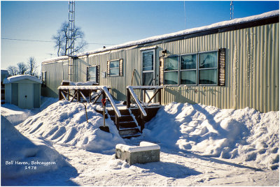 K416362Bobcaygeon.jpg