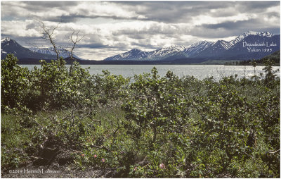 K417758Yukon_1985.jpg