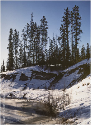 K417804Yukon_1985.jpg