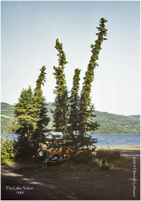 K417910Yukon_1986.jpg