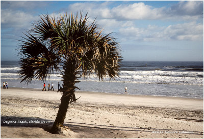 K416567Daytona_1979.jpg