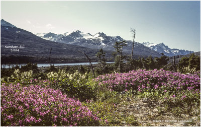 K418078Yukon_1984.jpg