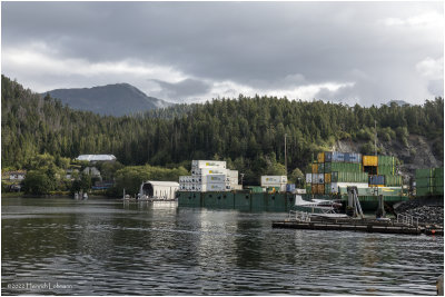 DSC08873-Sitka.jpg