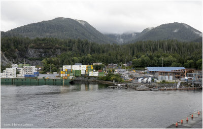 DSC08947-Sitka.jpg