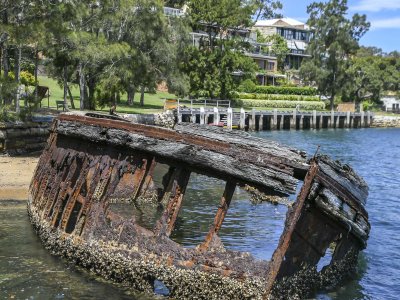 Shipwreck at Sawmillers Reserve