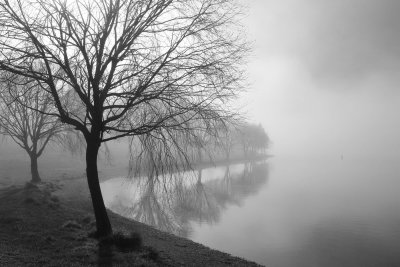 133} A Foggy Winter Morning