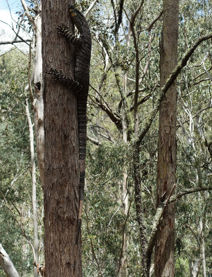 Hanging On