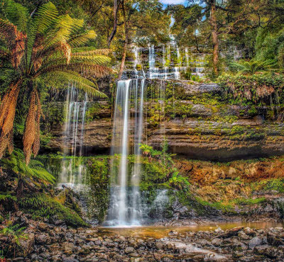 Wet Day Russell Falls 