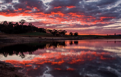 Oberon Sunrise