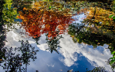 Autumn Reflection Queenstown
