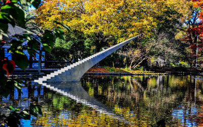  Christchurch Reflection