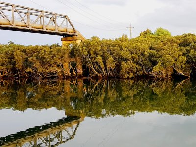 Parramatta River