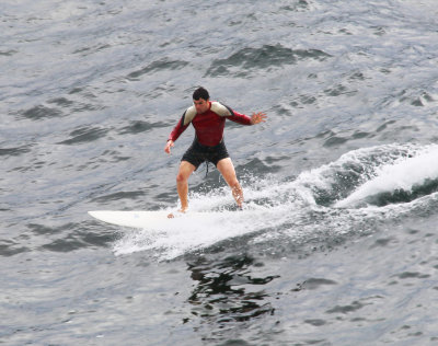 Surf Board Rider