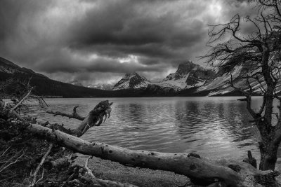 Bow Lake