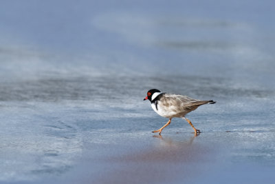 Walking Fast