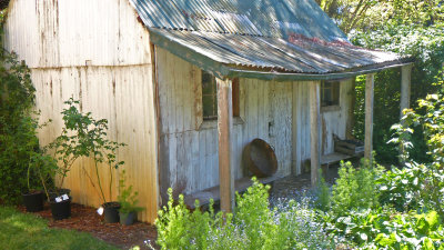 Old Cottage