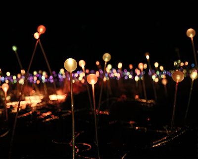 Field of Lights