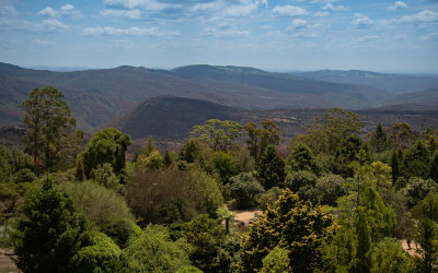 View from Mt Tomah
