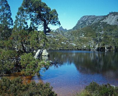 Wombat Tarn 2