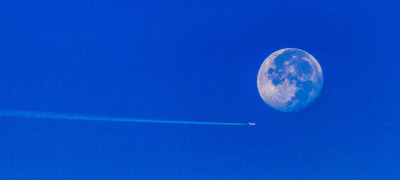Fly Below the Moon