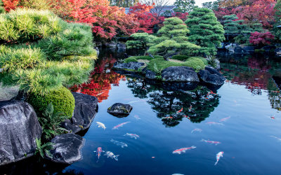 Japanese Autumn Paradise