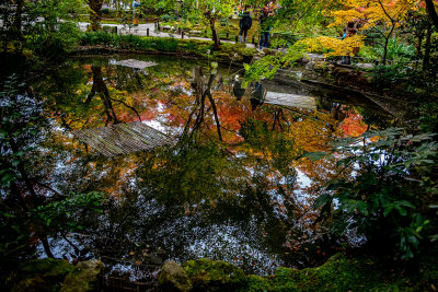 Autumn Reflection