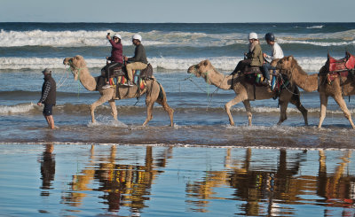 Camel Ride at Water Edge