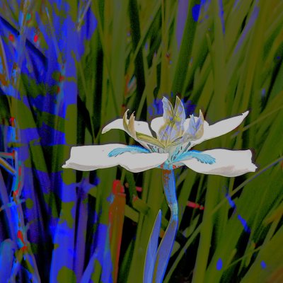 Flower*Credit*