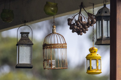 Lanterns*Credit*