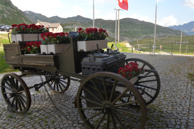 Local Heritage Cart