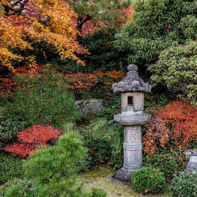 Japan Autumn Colour