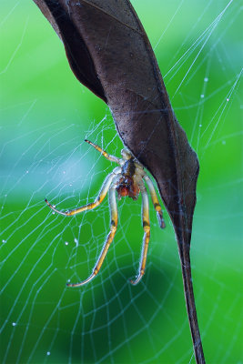 Hanging Out in the Backyard*Credit*