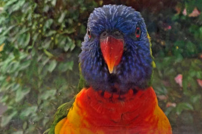 He is Looking at You