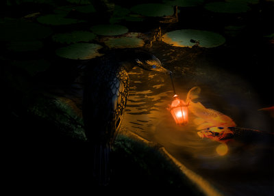 A Danger Lantern*Credit*