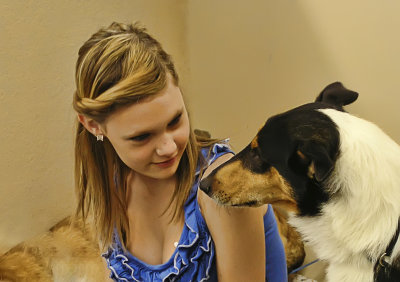 Collie Talk