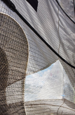 Patterns from the Sail