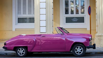 Pink Chariot