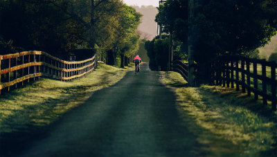 Morning Run*Credit*